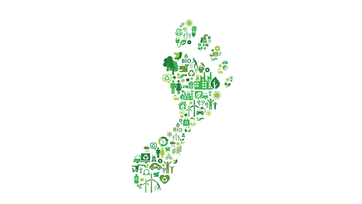 Das Bild zeigt eine Grafik eines Fußes, um den CO2 Fußabdruck zu symbolisieren