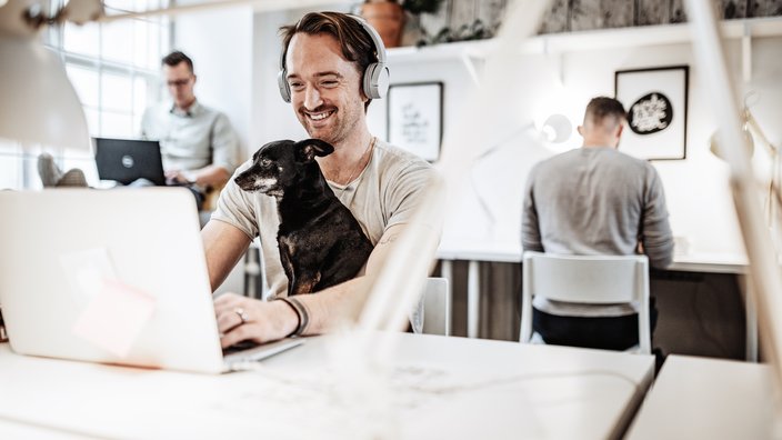 Flexibles Arbeiten im modernen Office mit Haustier Das Bild zeigt einen jungen Mann an einem Schreibtisch mit einem kleinen Hund im Schoß sitzend. Er hat Kopfhörer auf, lächelt und arbeitet an seinem Laptop.