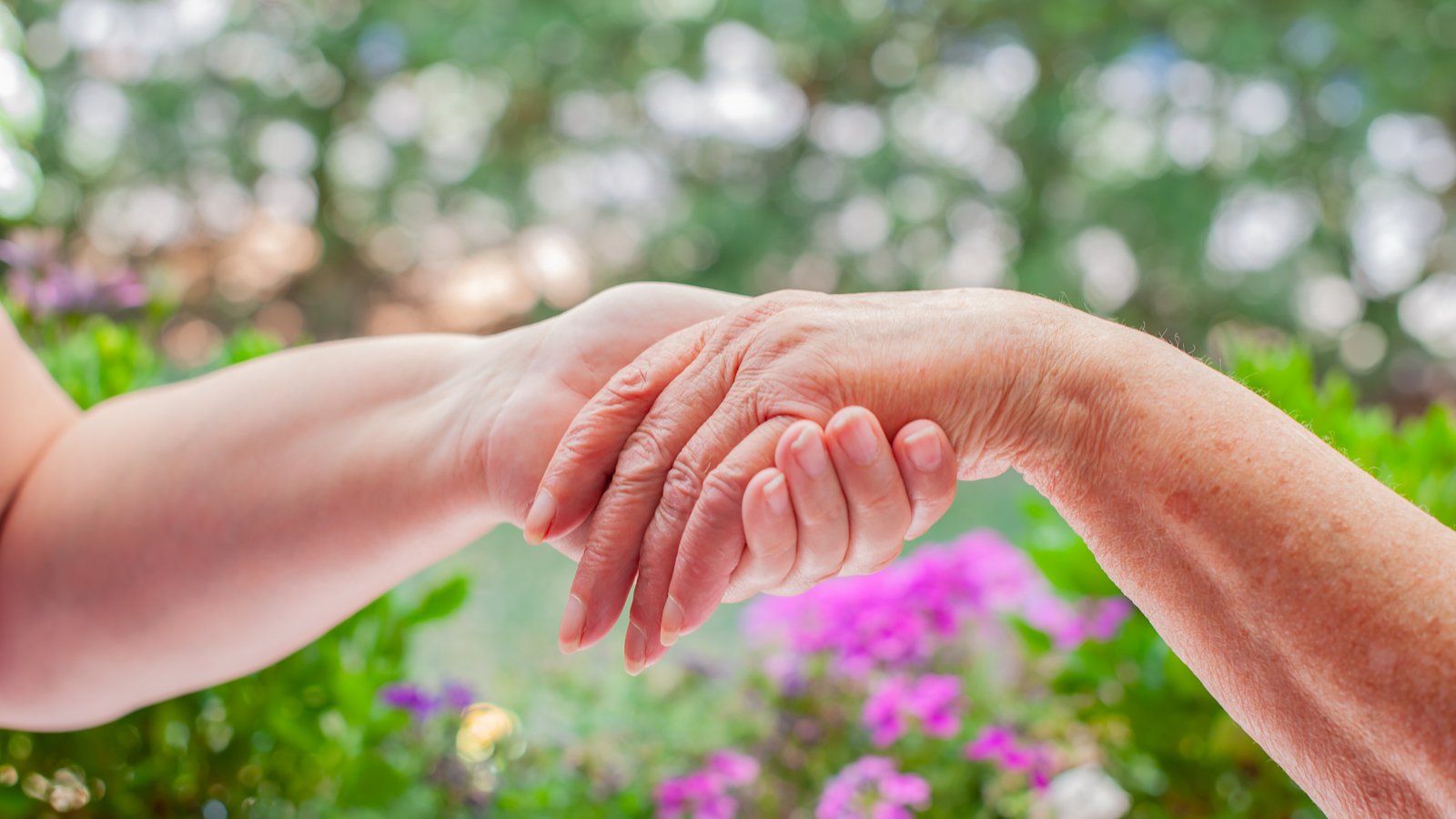 Eine junge Hand hält eine ältere Hand